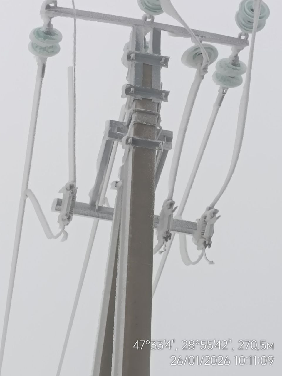 623260467_875940718764907_7713124127547029162_n