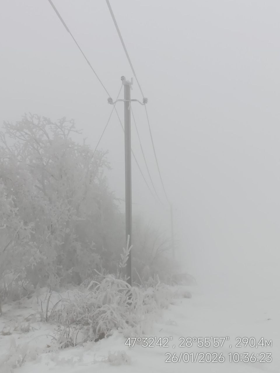 619140609_875940708764908_7927710994682939949_n