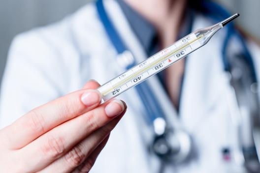 shutterstock_339537407_13