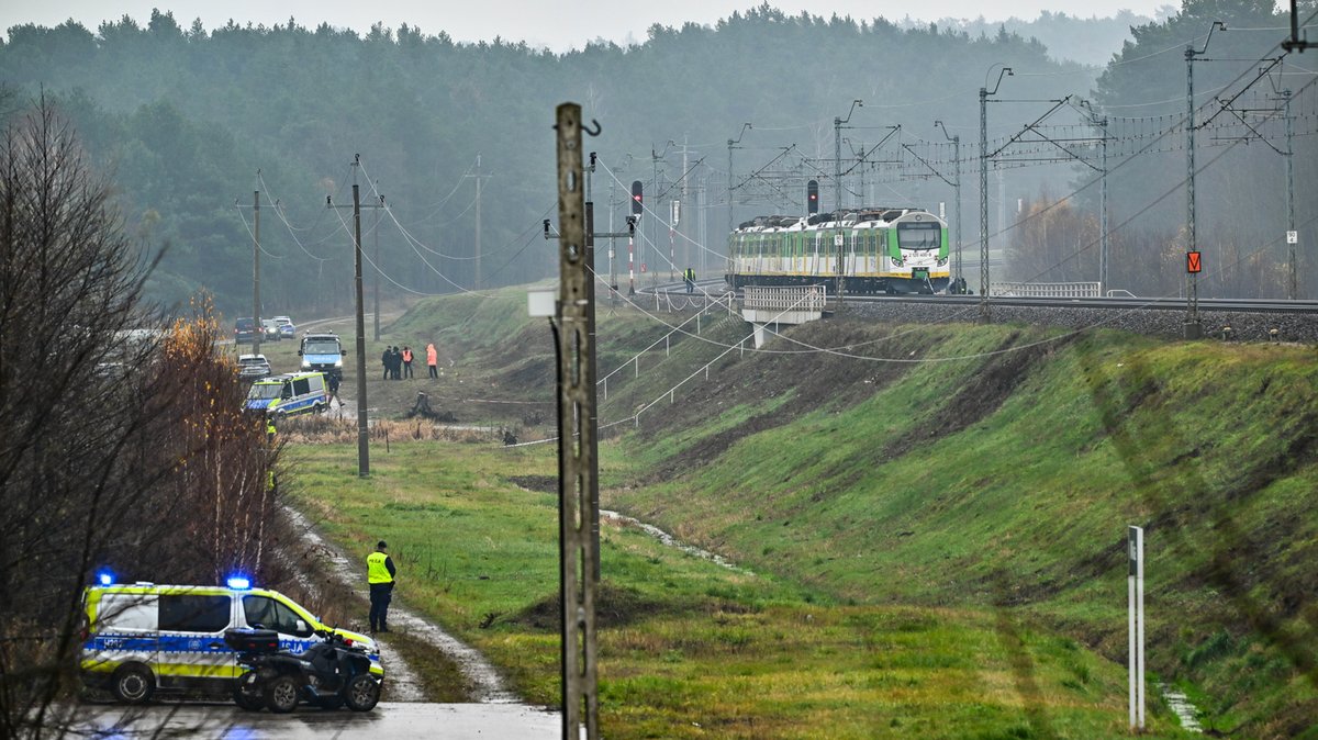 rXSk9kuTURBXy83ODU1YTI2Zi0zNDliLTRmOWEtYjA4NC0yZTA1NjUwZDFmZTEuanBlZ5OVAwDNAVrNIEDNEiWVAs0EsADCw5UCAM0C7sLD3gADoTABoTEBoTPD