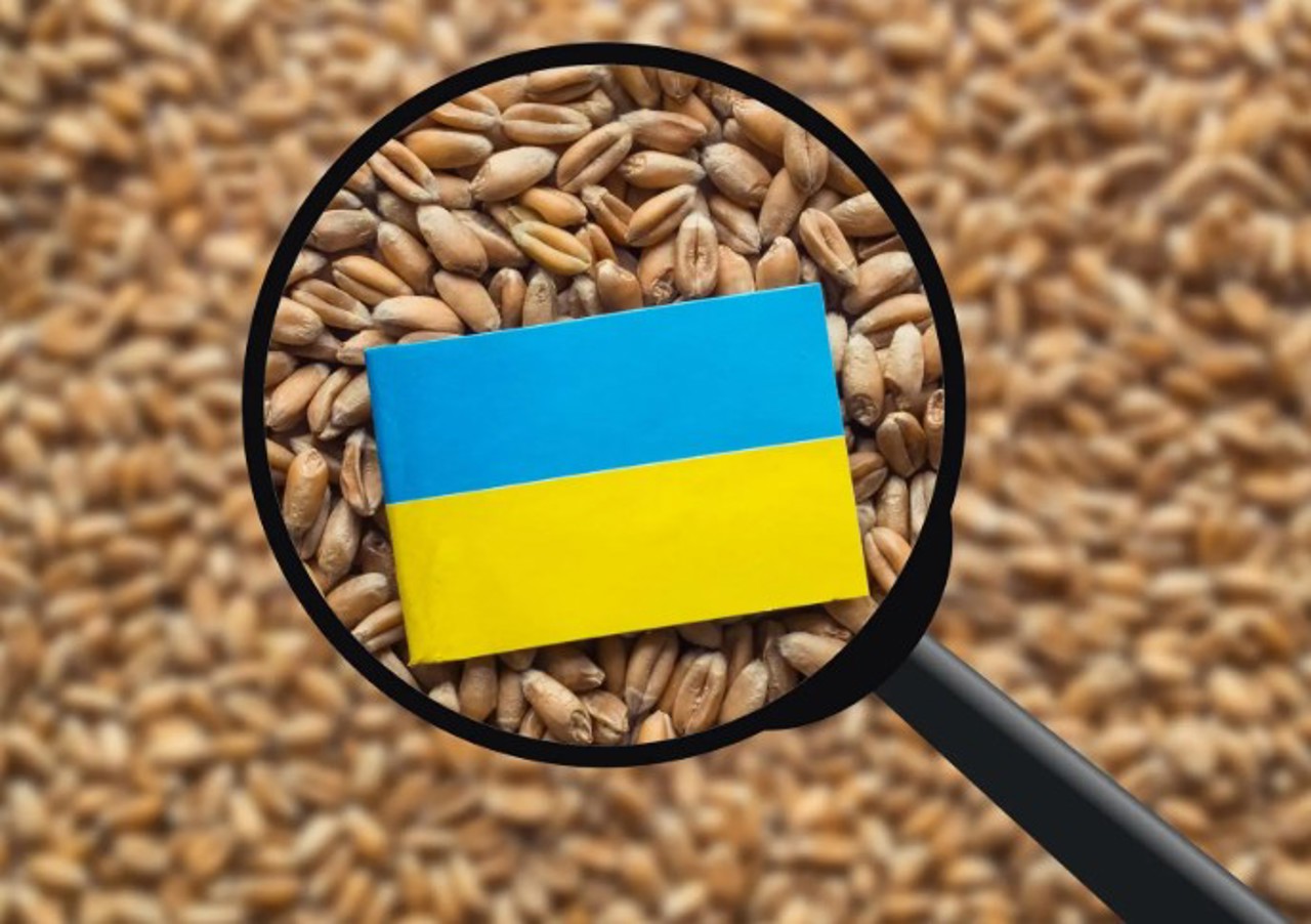 f19c46e5-44d9-4cff-8679-35f8ac476932