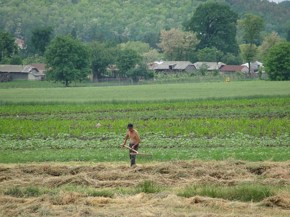 vanzarea-terenurilor-agricole