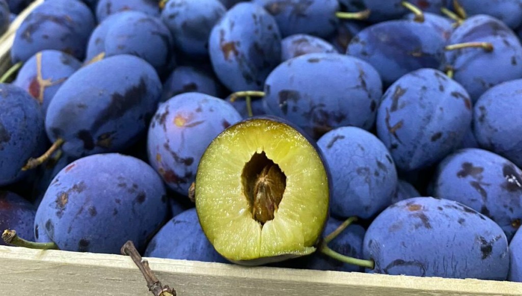 prune-moldova