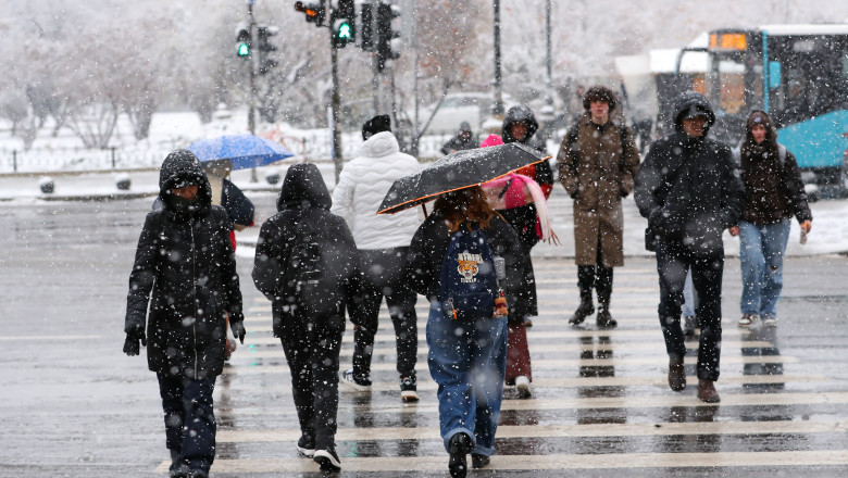 NzMwMmFkYjNkMzVjMDZmNjBkYzkwZWIyODA3MzdmMQ==.thumb