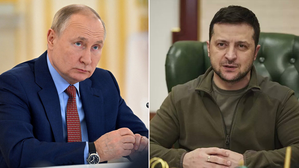 putin-zelenskij