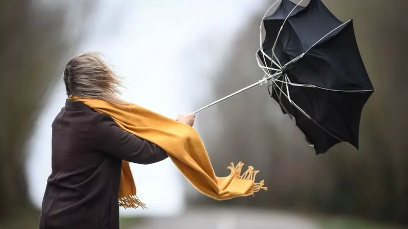 fead1a278c80a1613ca54faf80057553bd3d30c7147186ab6aa294015231c7d7