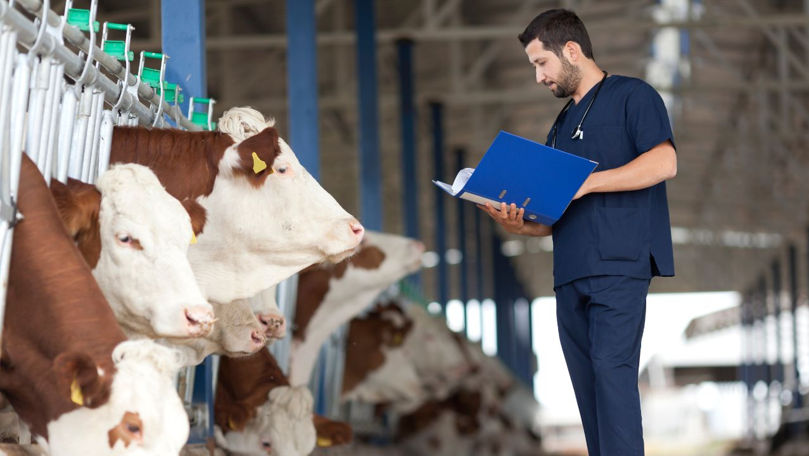 2b6e8d5b7944d704b17915478d5ae74d