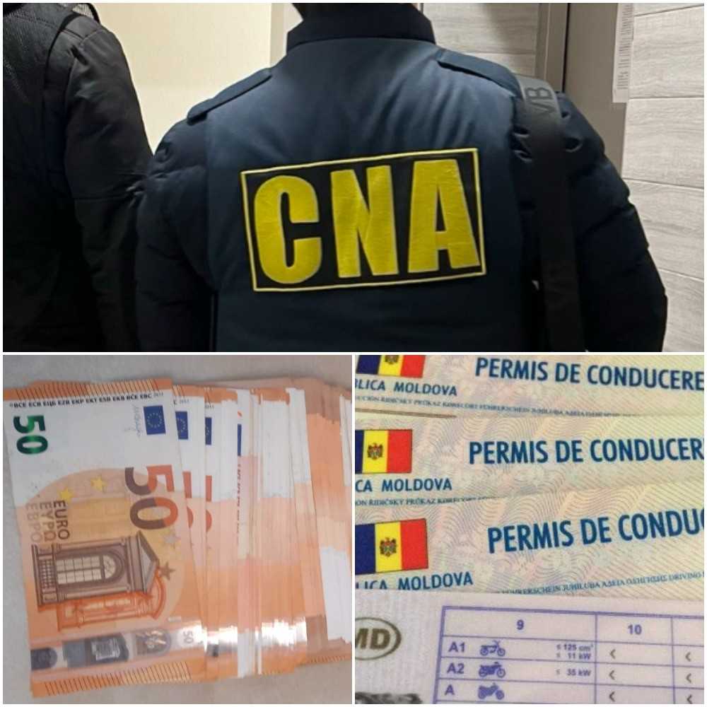 descărcare