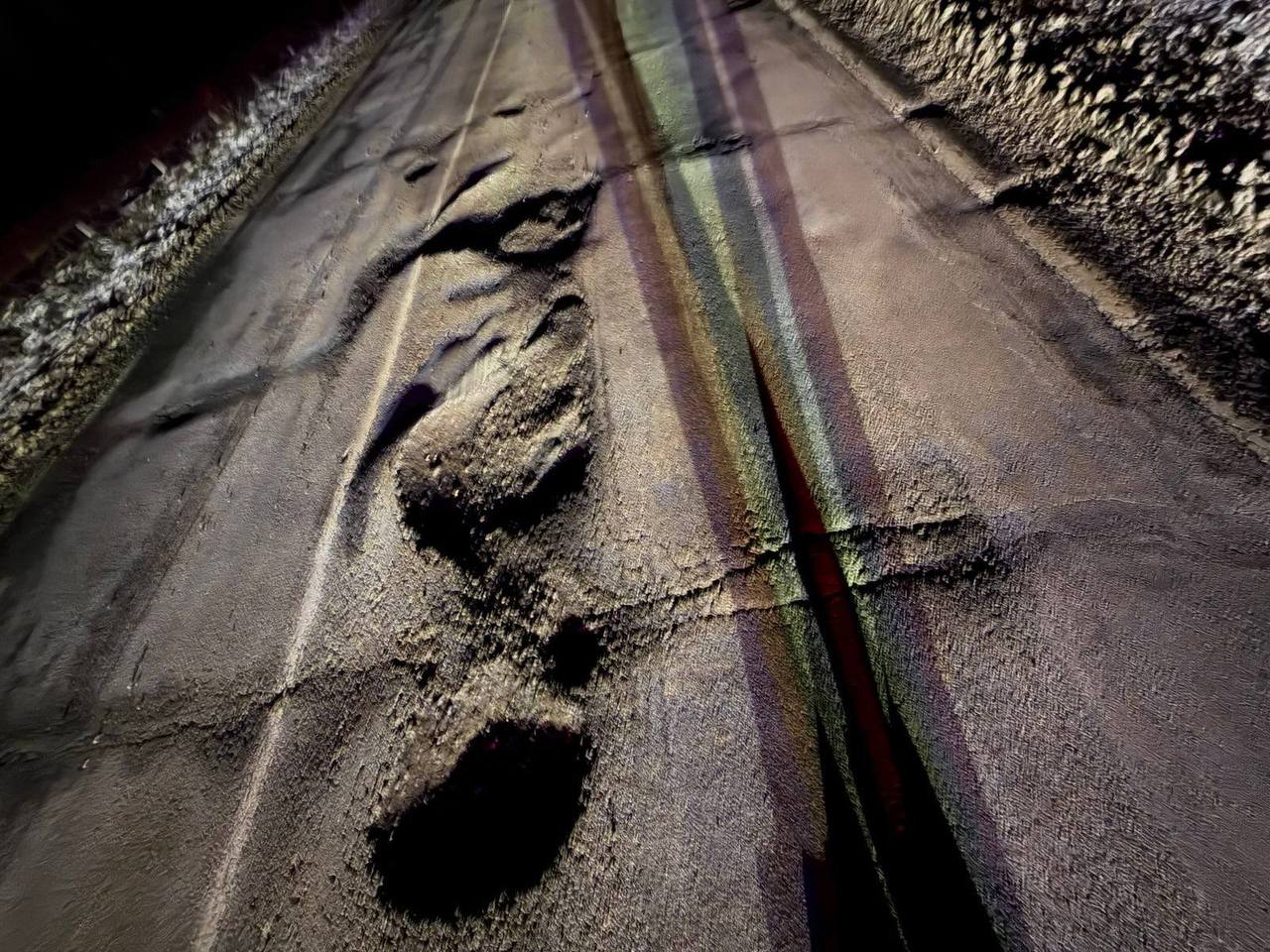 photo_2026-02-01_21-52-19