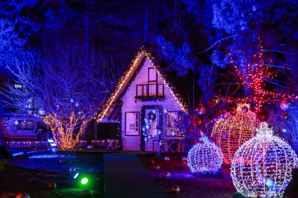 image_16640_1_preview