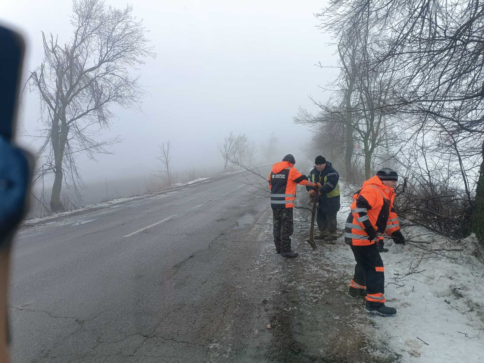 viber_image_2026-01-29_11-34-52-713