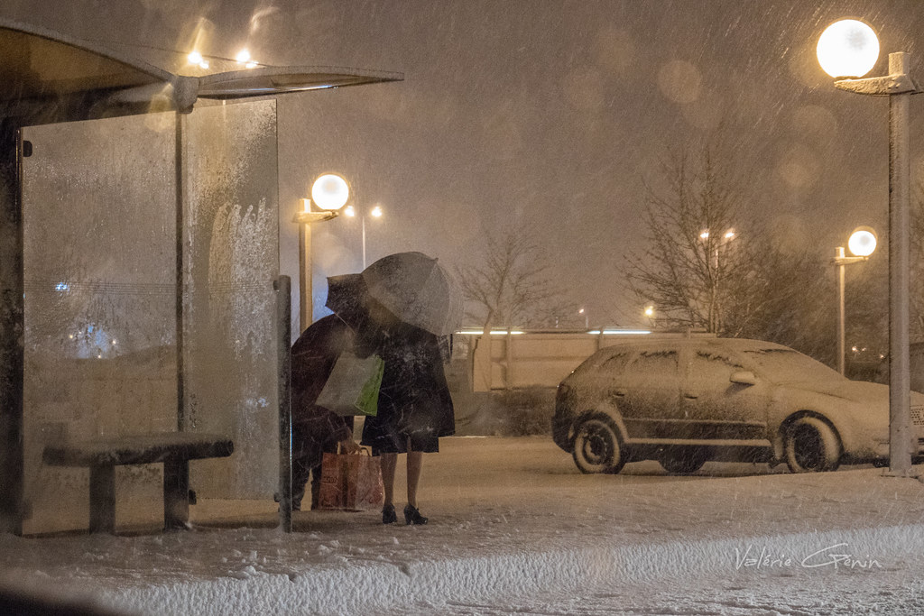 24526570477_bea3043620_b