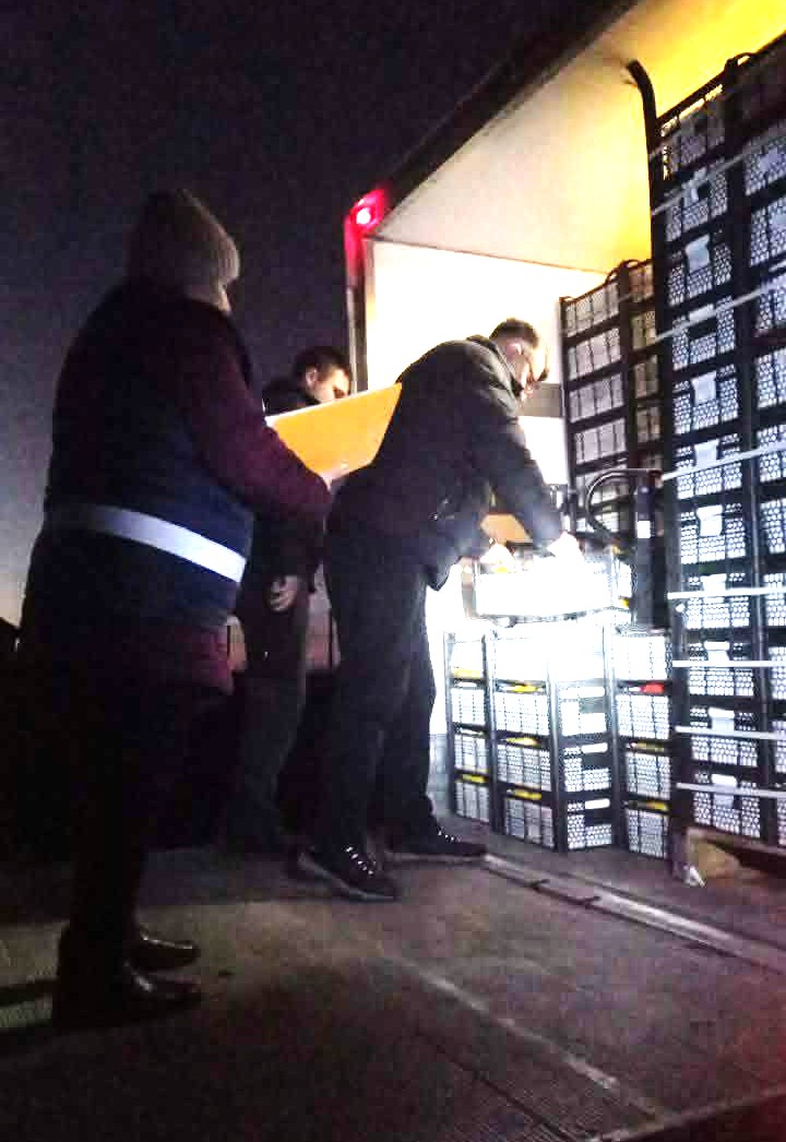 601010376_1158989956409706_2272201435895873319_n