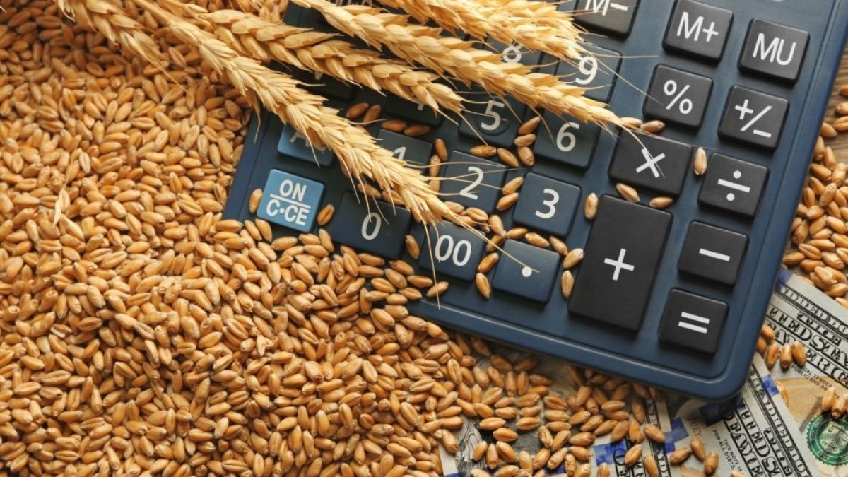 CALCULATOR_GRIU