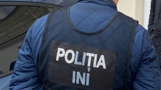 Poliția INI