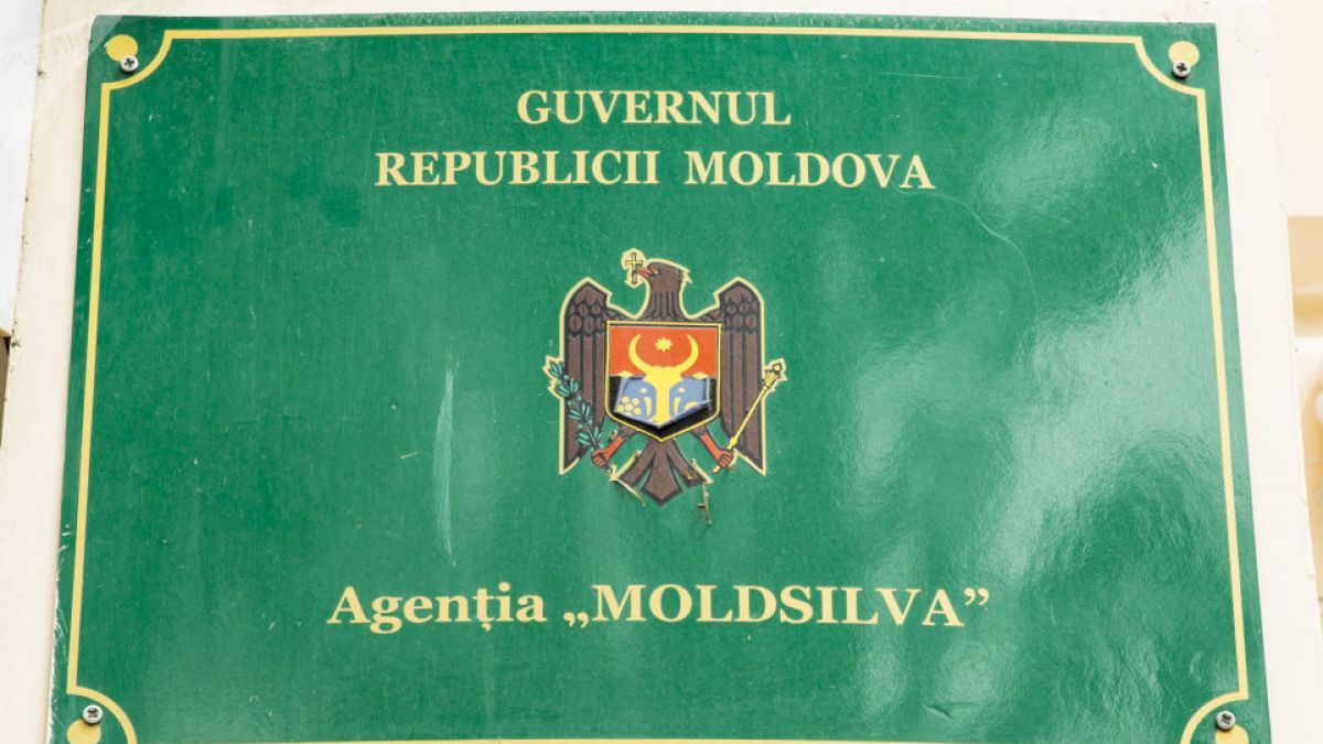 moldsilva