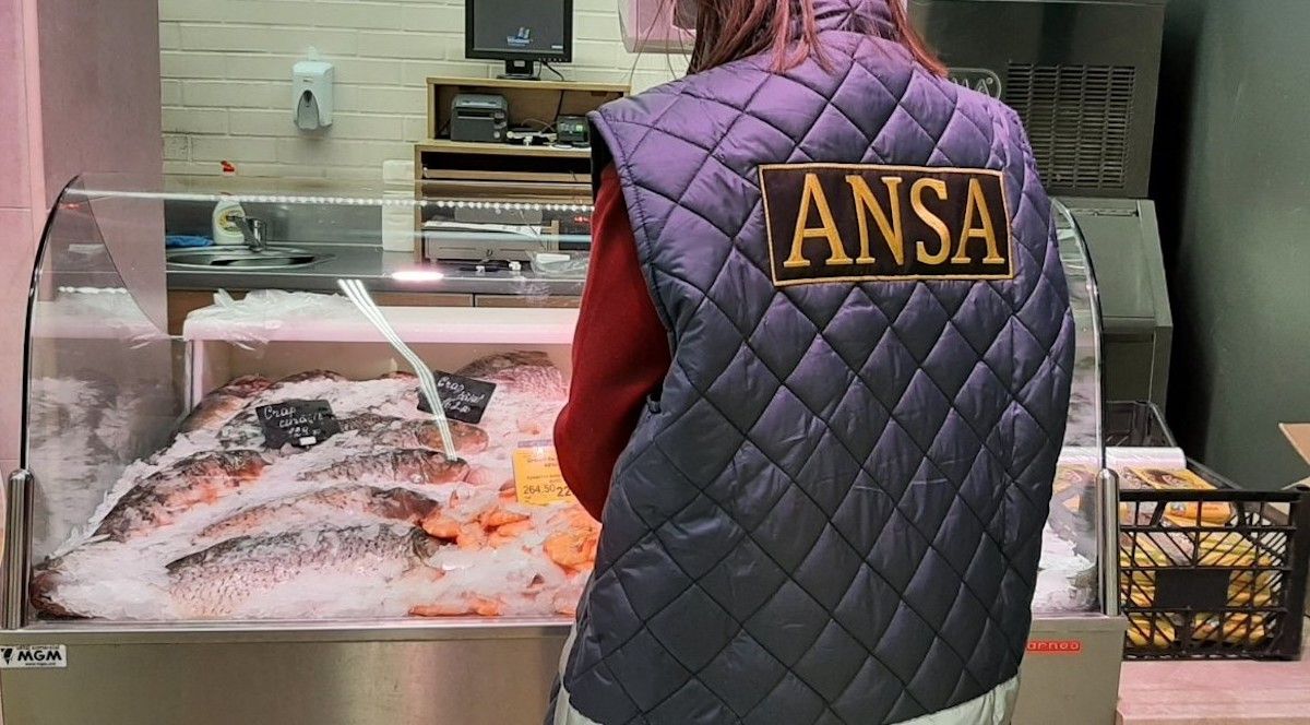 ansa