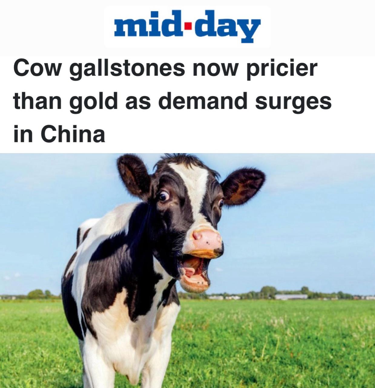 photo_2026-03-18_07-29-03