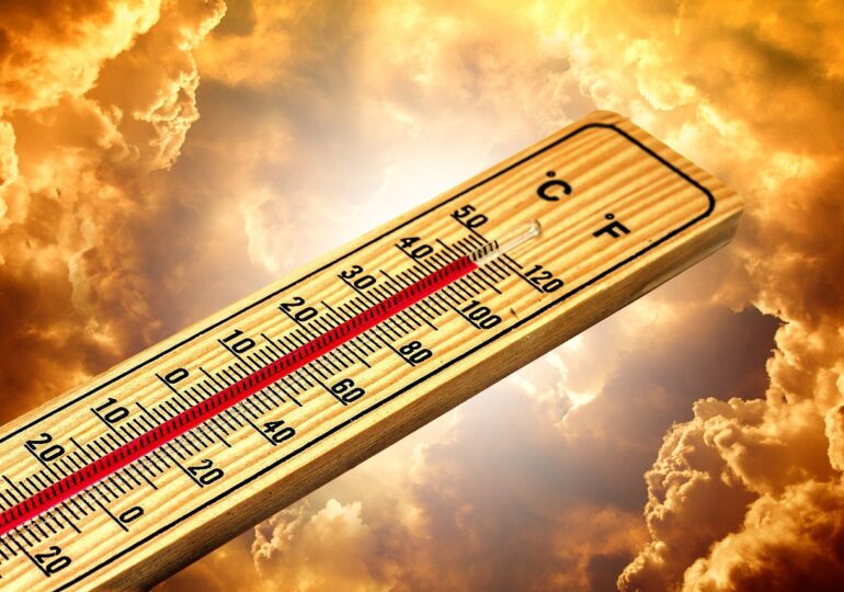 temperaturi-canicula-770x540