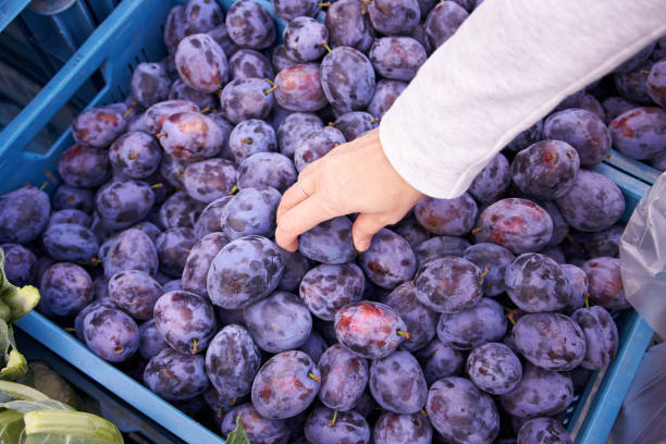 istockphoto-1482654468-612x612