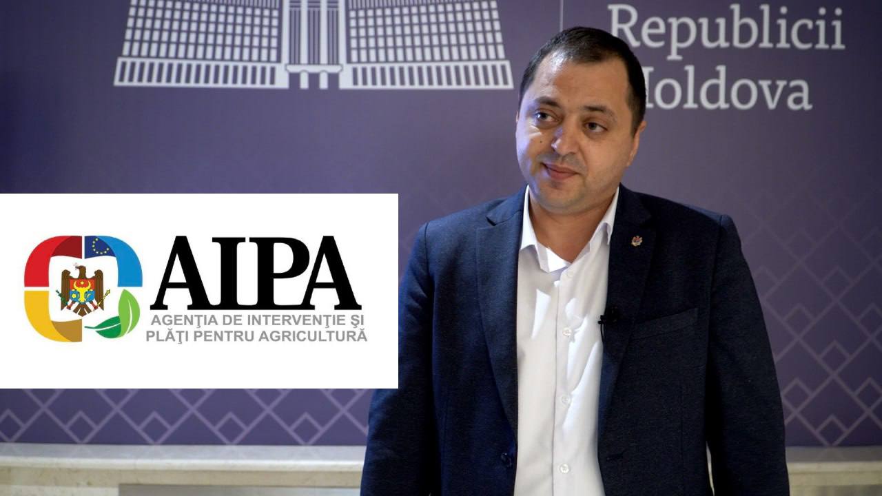 Artemie_Catanoi_AIPA_01062025