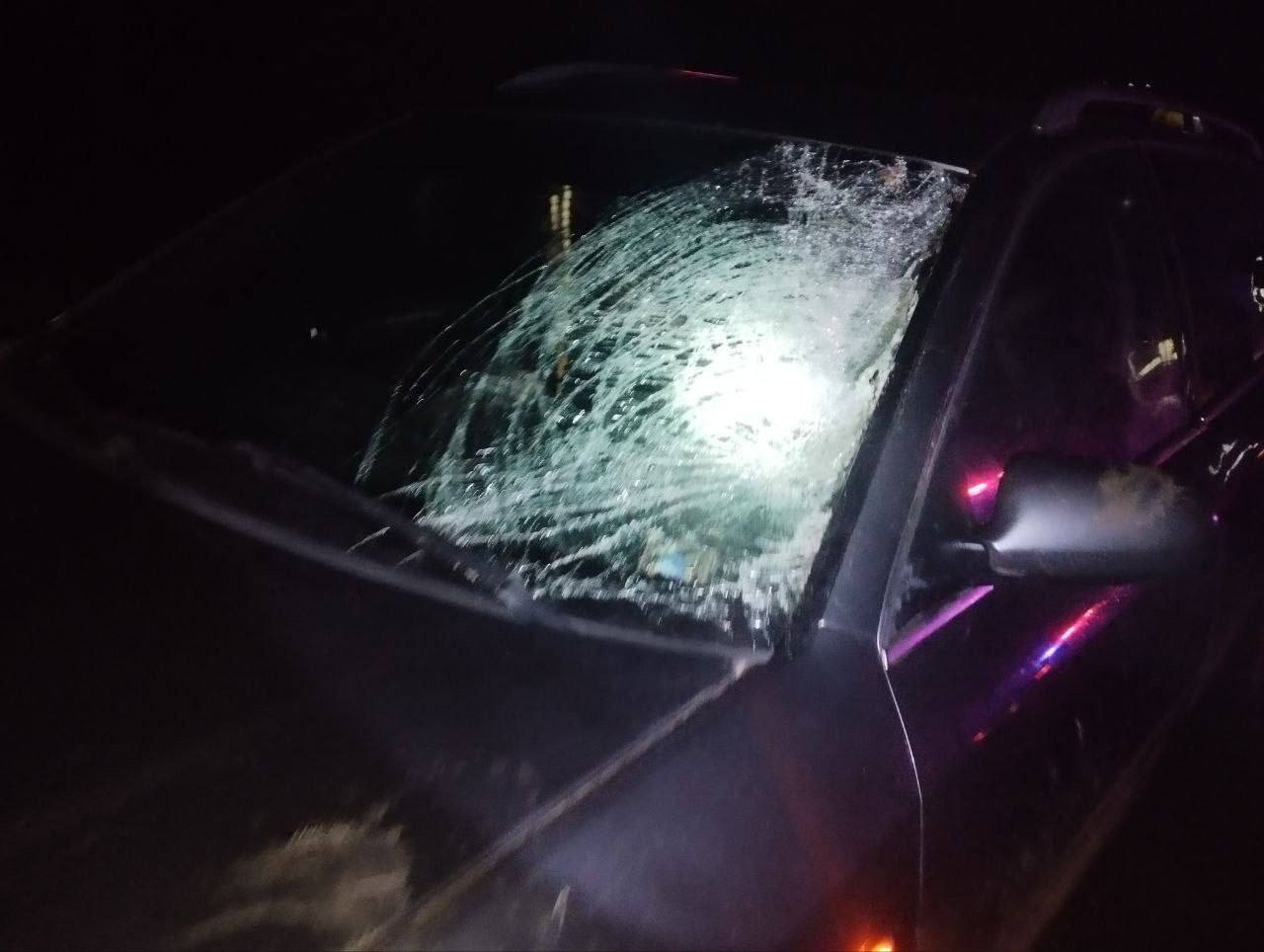 e8a2125d-fb02-4268-8644-0b76e1bf890b