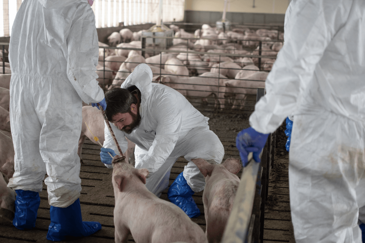 Screenshot-2023-11-01-at-9.41.54-AM-1200x800