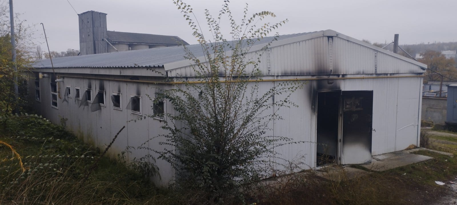 577609406_1233097572189625_5969448894894682912_n