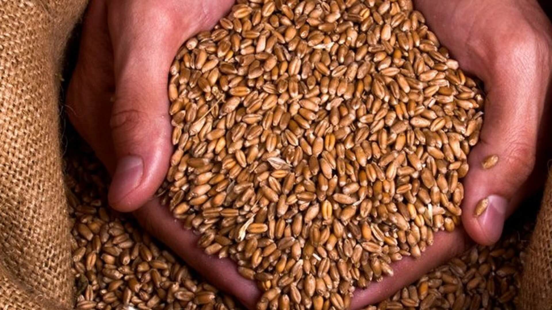 ajutor_fao_pentru_fermierii_mici_din_moldova