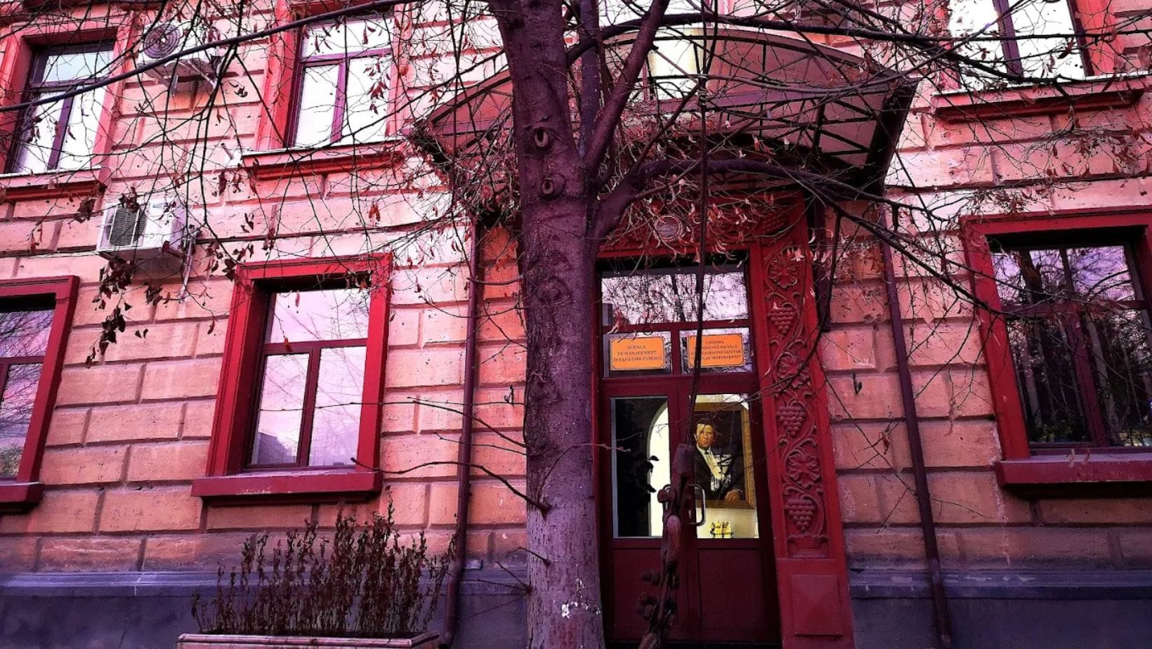 Foto-pentru--tiri--5--4