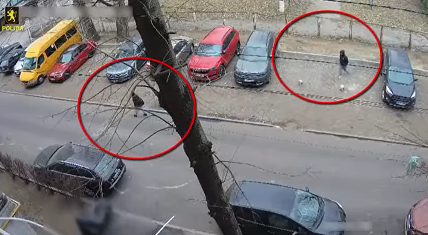 Captură de ecran 2025-03-26 131441