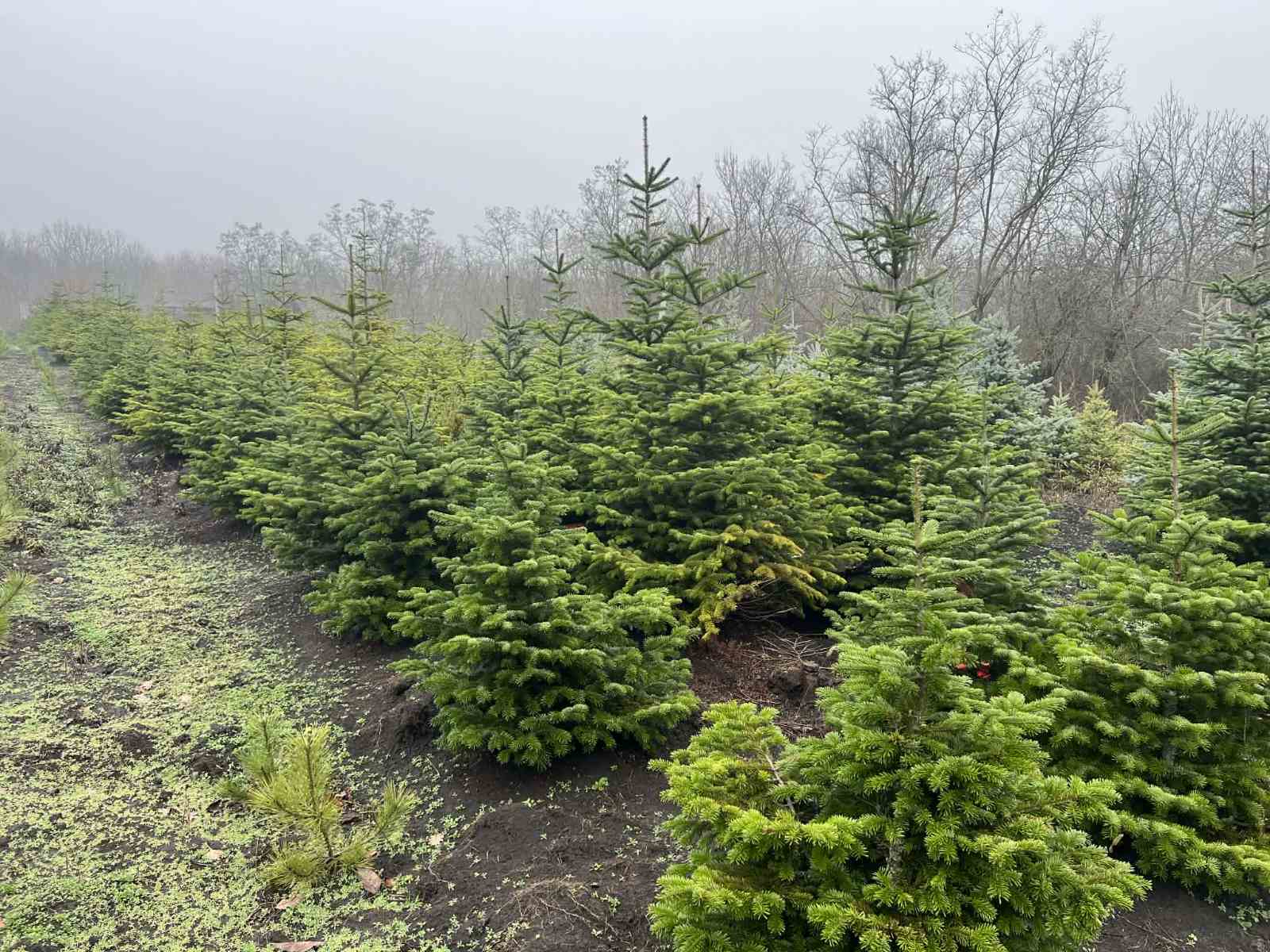 592952948_122315293412002057_4821291291580775893_n