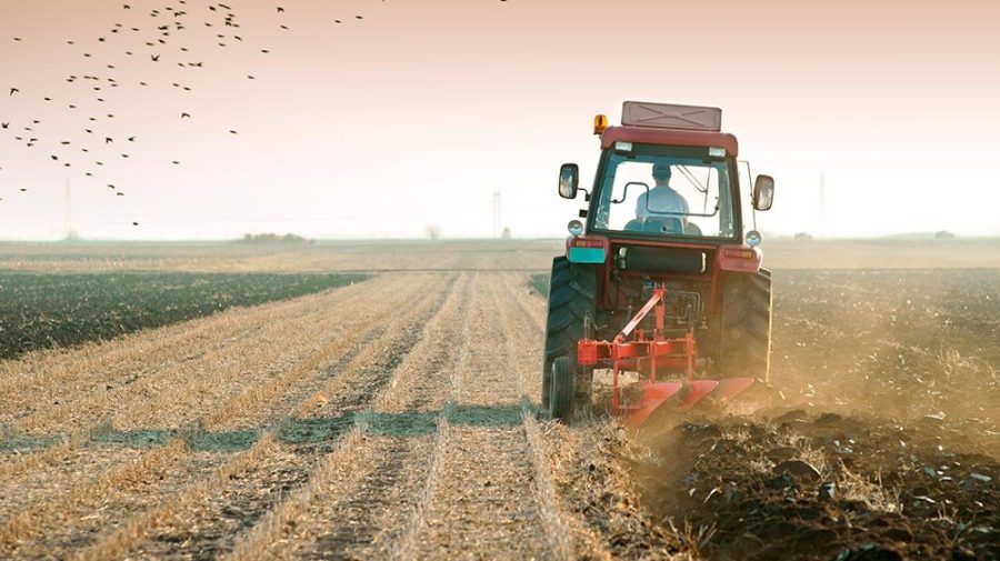 credite-pentru-agricultura-900x505