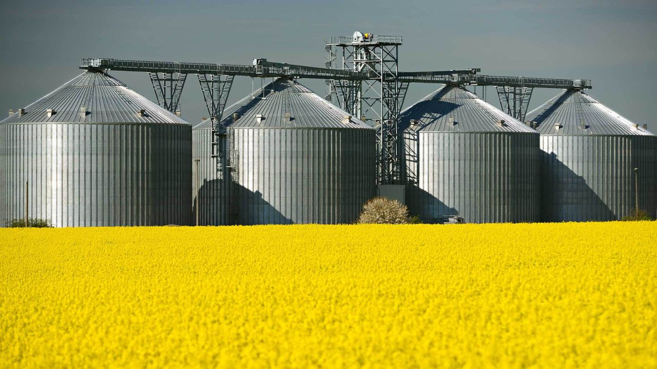 rapita-canada-ue-ucraina-export
