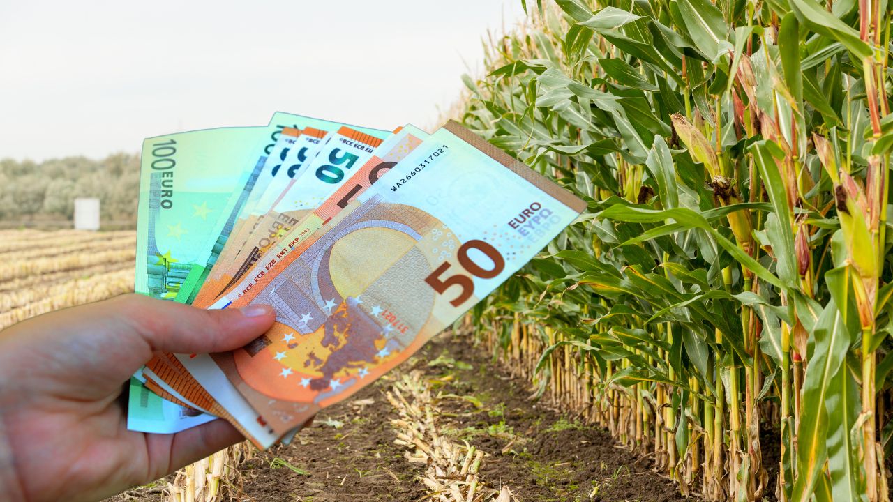 plati-subventii-restante-octombrie