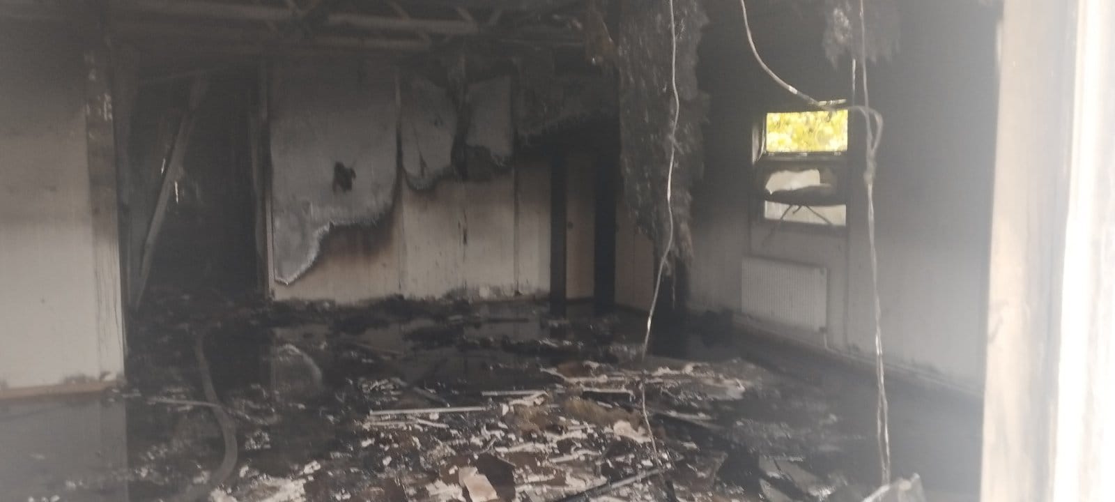 581196268_1233097582189624_9218739613647115726_n