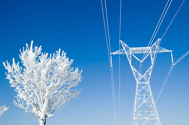 istockphoto-172724425-612x612