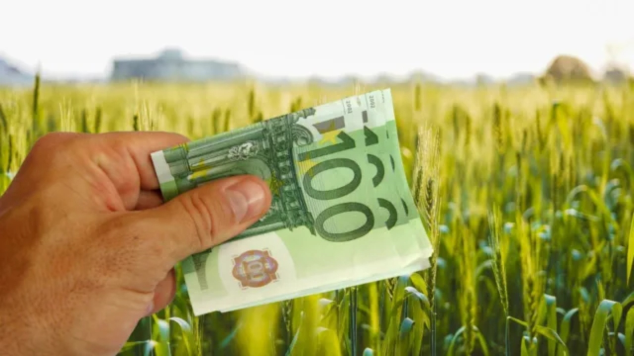 plati-apia-astazi-subventie-100-euro