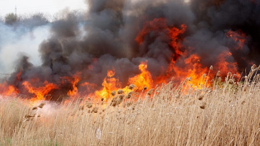 incendiu-vegetatie-900x505-1