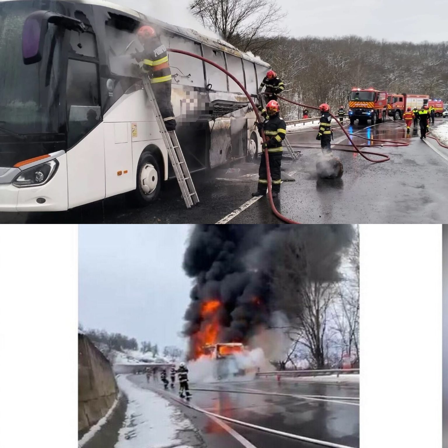 BECD640C-A87C-4AC1-9C15-9C68358FE137-1536x1536