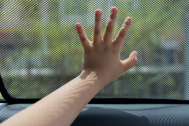istockphoto-1283141062-612x612