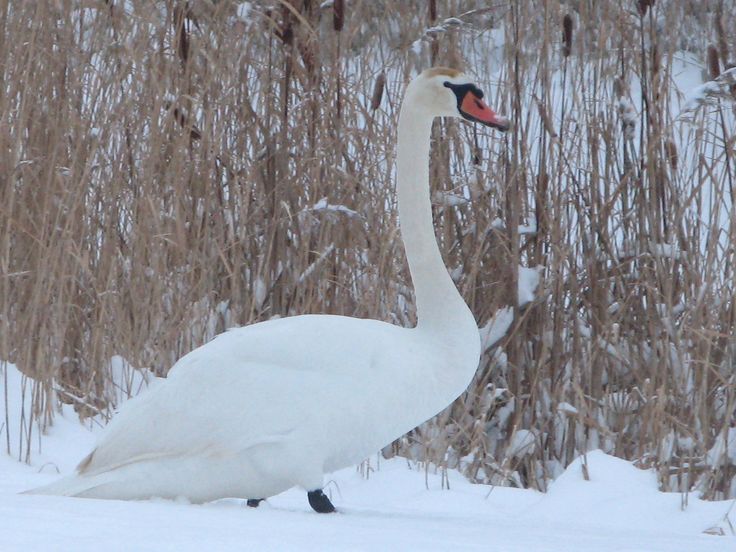 fa74cf689529c6e6b5d82353e853f79e