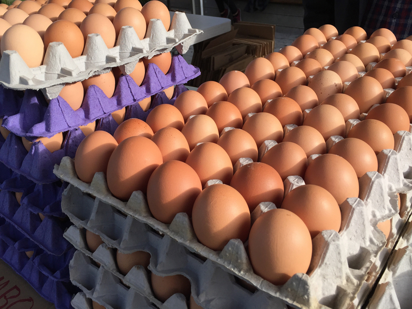 EggCrates