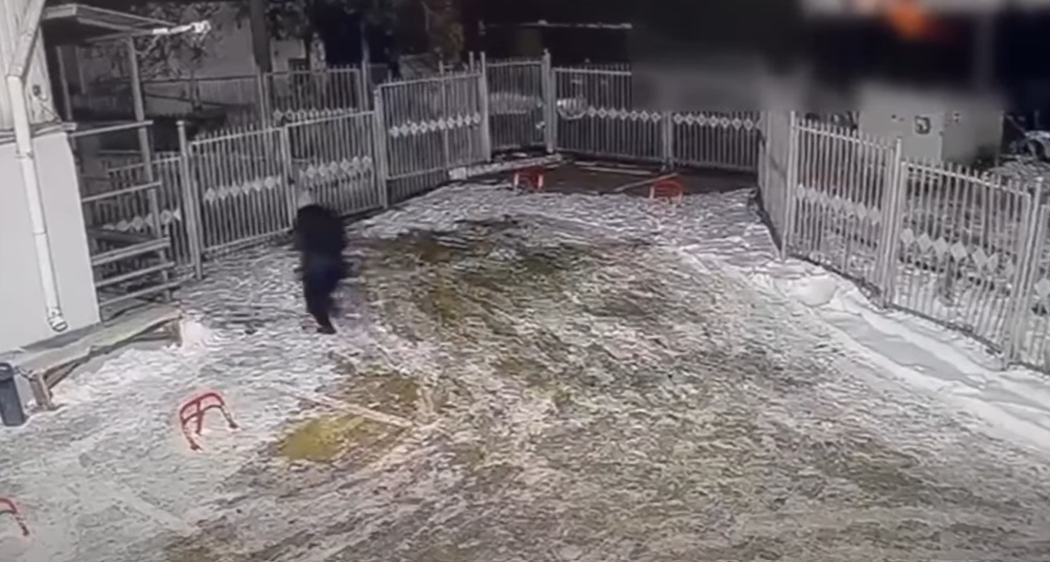 Captură de ecran 2026-01-27 152323