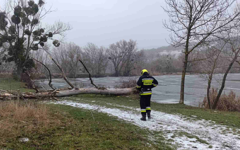 Captură de ecran 2025-12-29 105415